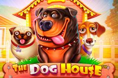 Play The Dog House slot at Pin Up